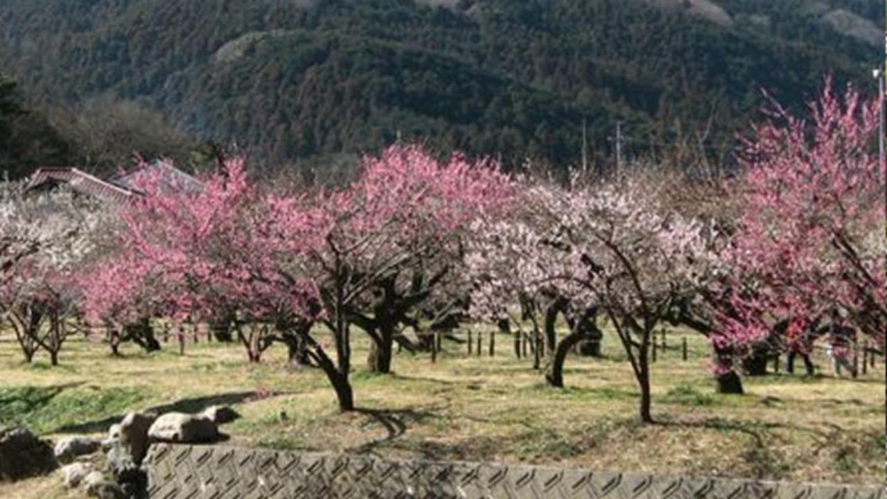 Kyukamura Oku-Musashi Hanno Exterior foto